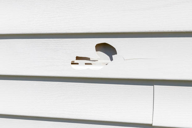 ### Siding Removal and Disposal